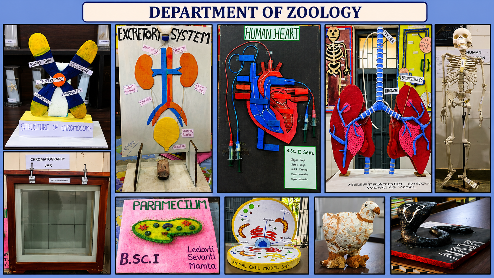 DEPARTMENTAL ACTIVITY