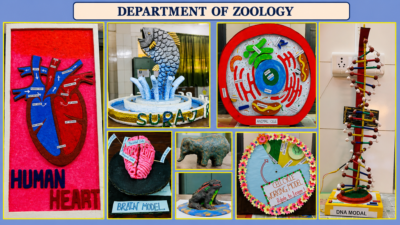 DEPARTMENTAL ACTIVITY